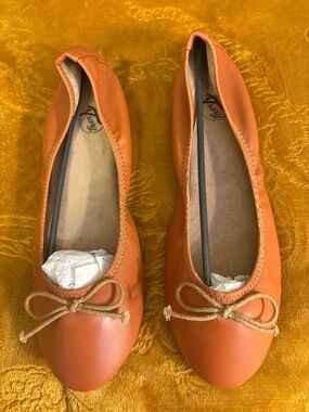Trary Ballet Flat Shoes